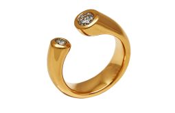 Ring_zwei_Brillanten_7720.jpg